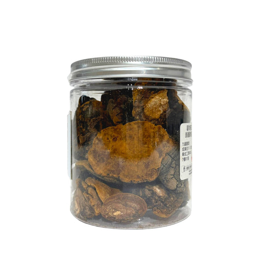 西藏野生岩樹桑黃靈芝