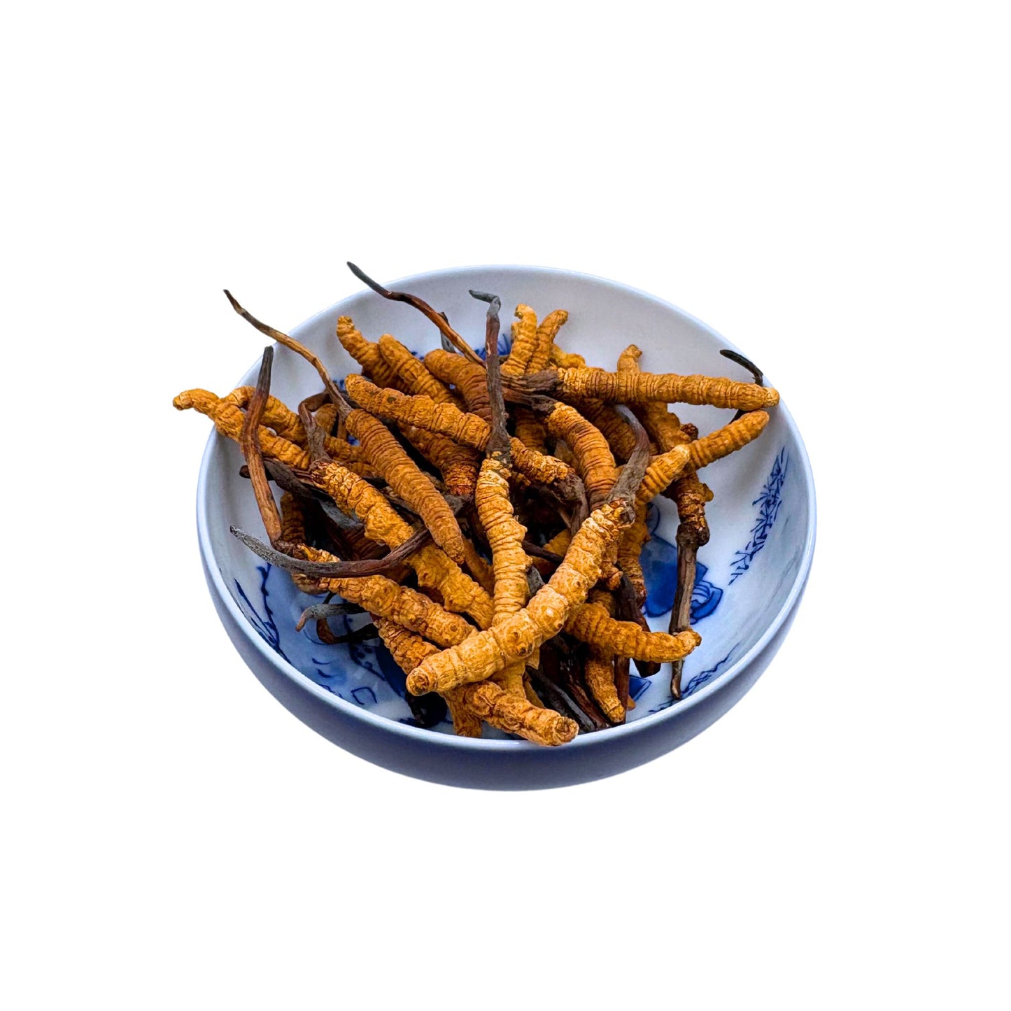 正宗西藏那曲頂級冬蟲草(后)