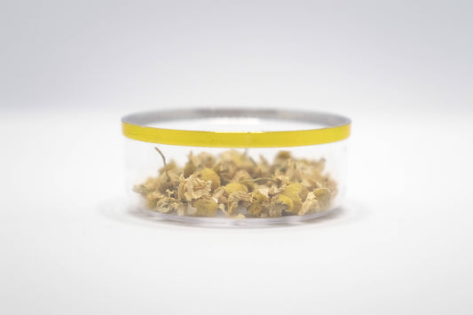 洋甘菊(法國產)