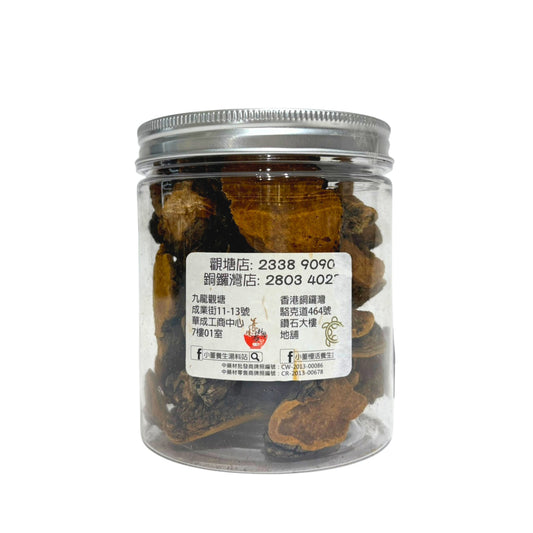 西藏野生岩樹桑黃靈芝