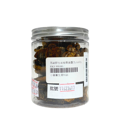 西藏野生岩樹桑黃靈芝