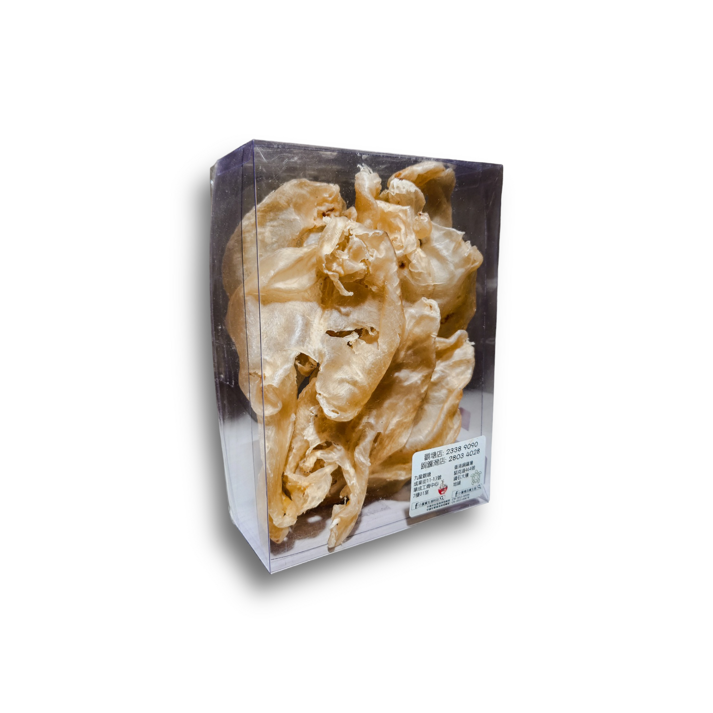 遠年野生特大鴨泡膠