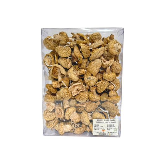 青藏高原野生黃金菇