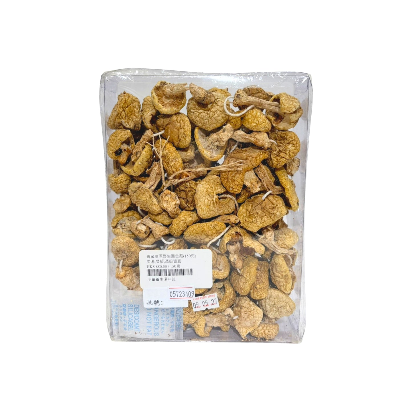 青藏高原野生黃金菇