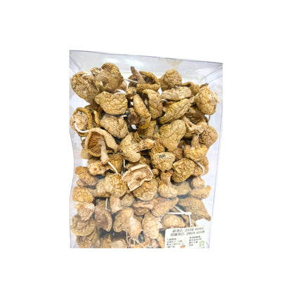 青藏高原野生黃金菇