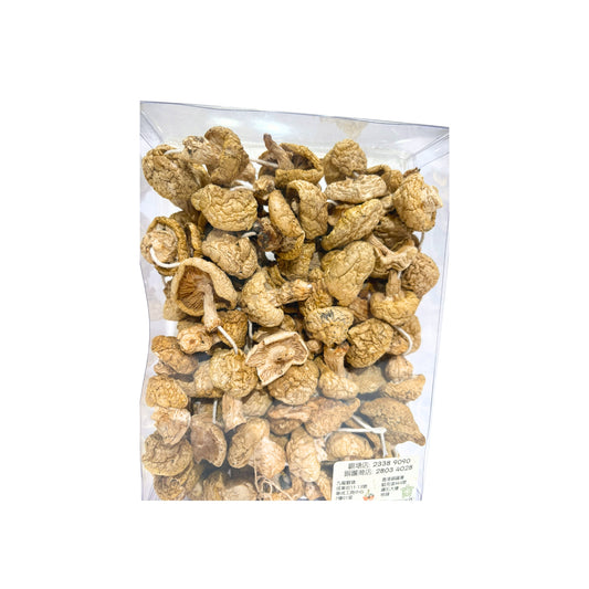 青藏高原野生黃金菇